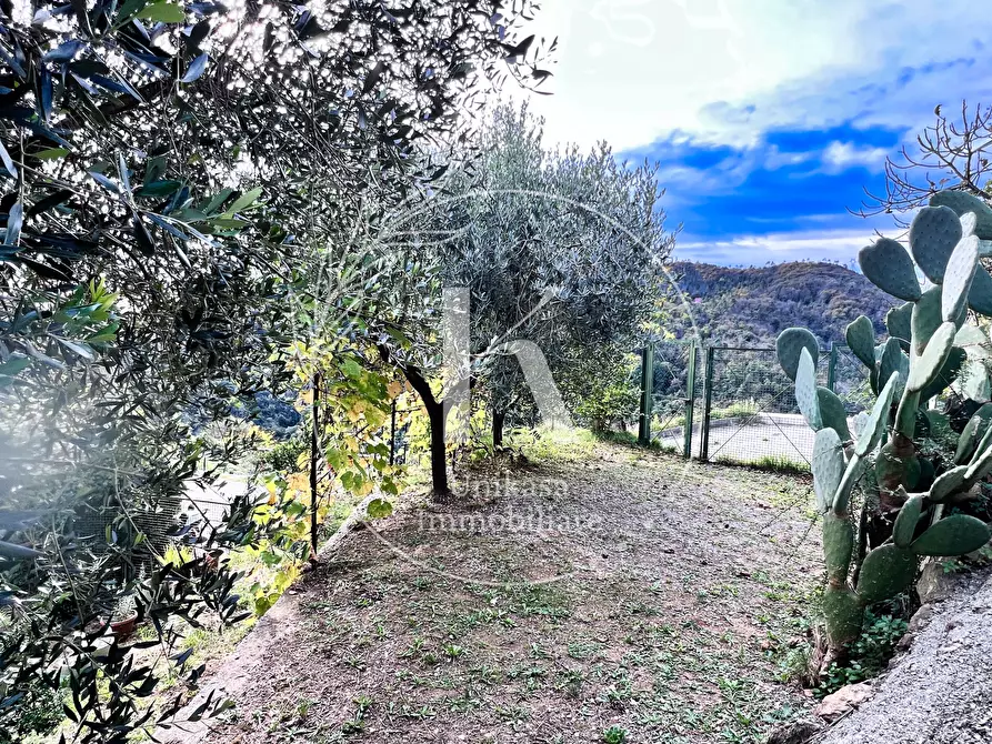 Immagine 26 di Casa indipendente in vendita  in Via Ciantagalletto a Savona