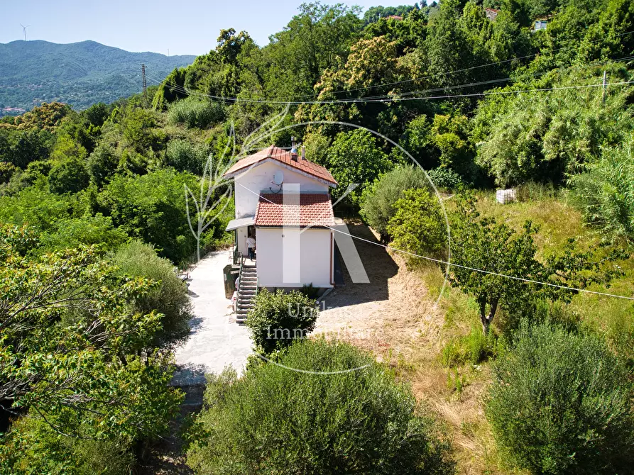Immagine 8 di Casa indipendente in vendita  in Località Mezzano 22 a Stella