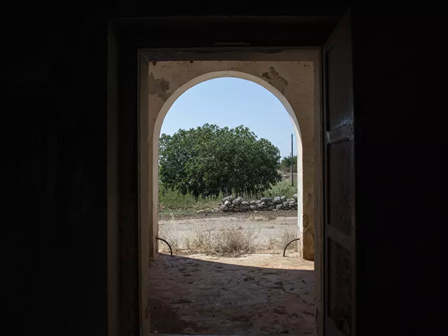 Immagine 17 di Rustico / casale in vendita  in Contrada San Francesco a Carovigno