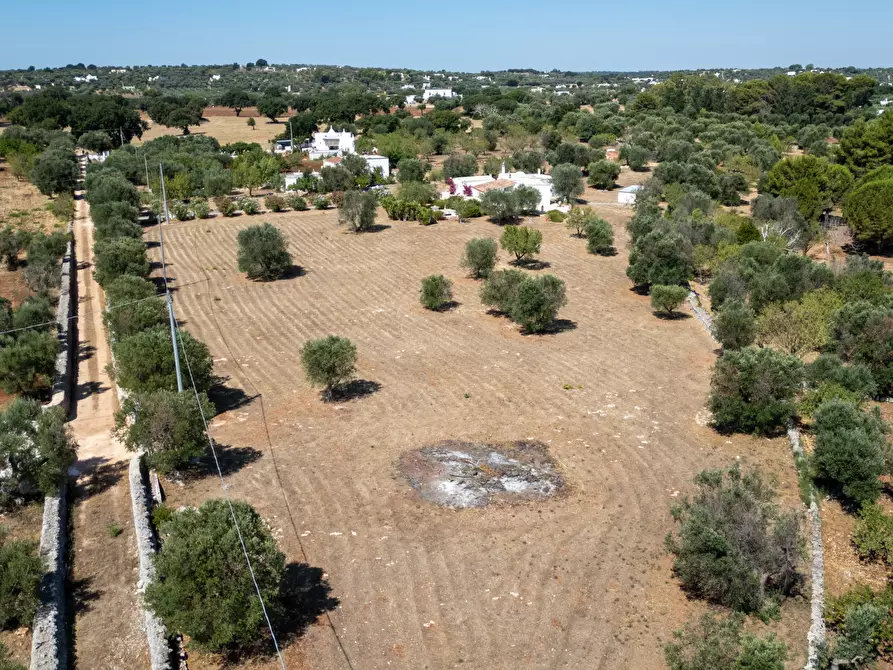 Immagine 13 di Villa in vendita  in contrada san benedetto a Ostuni