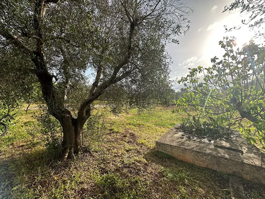 Immagine 7 di Villa in vendita  in Strada Provinciale 28 a Ostuni
