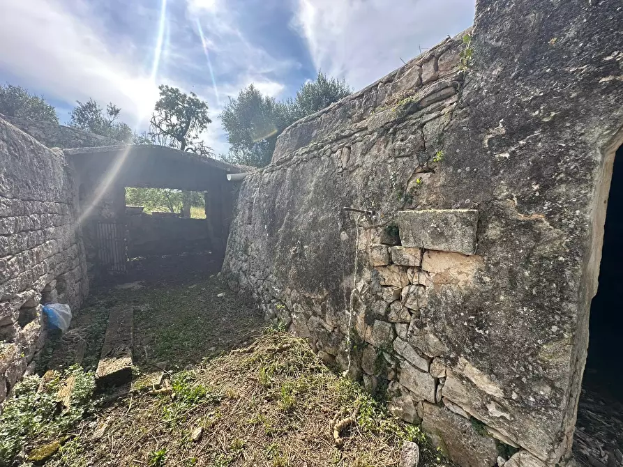 Immagine 20 di Rustico / casale in vendita  in Strada Provinciale 17 a Ostuni