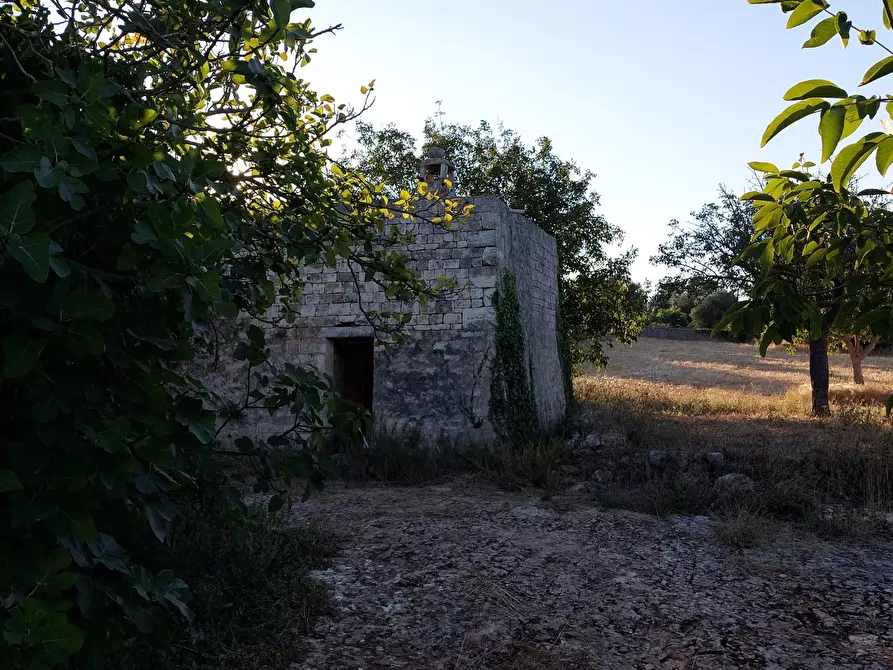 Immagine 51 di Casa indipendente in vendita  in Contrada Panza a Cisternino