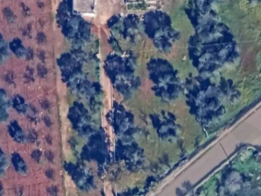 Immagine 14 di Casa indipendente in vendita  in Strada Provinciale ex SS 581 a Ceglie Messapico