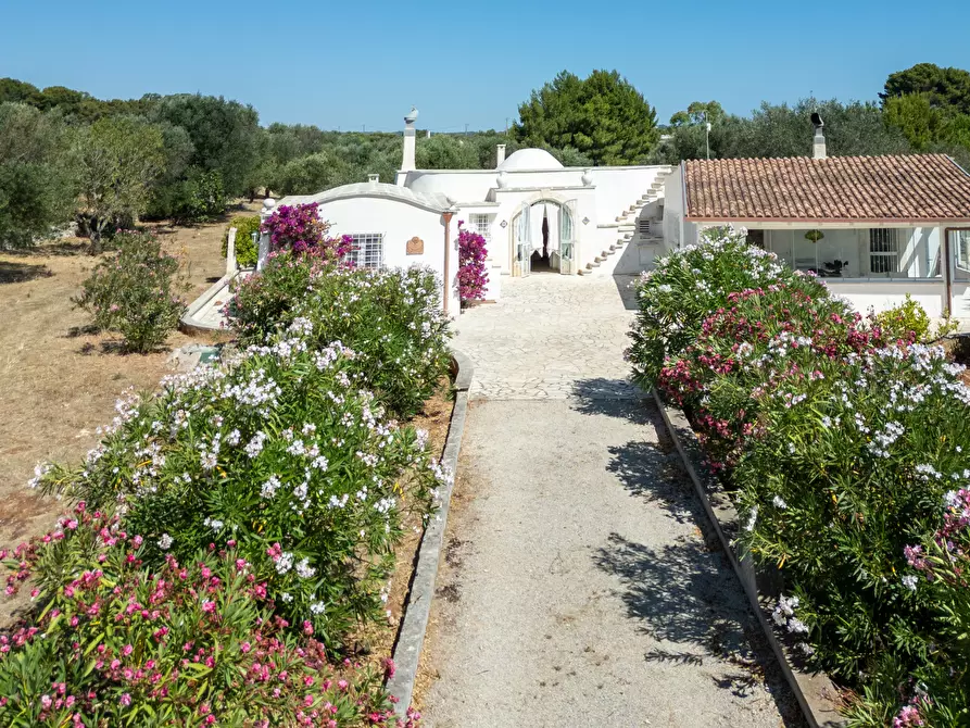 Immagine 18 di Villa in vendita  in contrada san benedetto a Ostuni