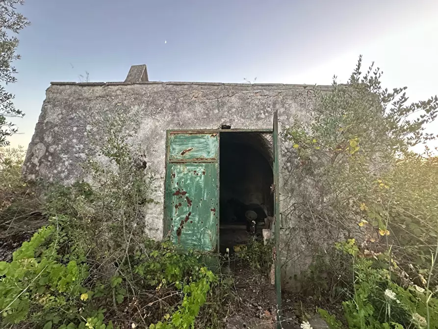 Immagine 1 di Casa indipendente in vendita  in Strada Provinciale 29 a Ostuni