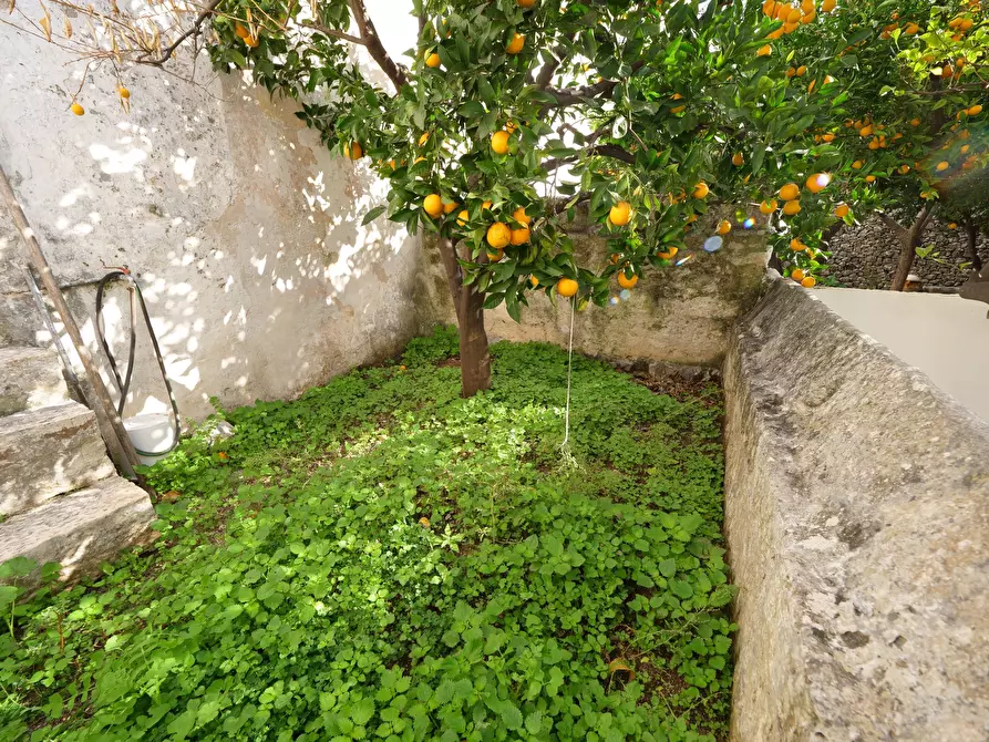 Immagine 21 di Casa indipendente in vendita  in Via Gaspare Petrarolo a Ostuni