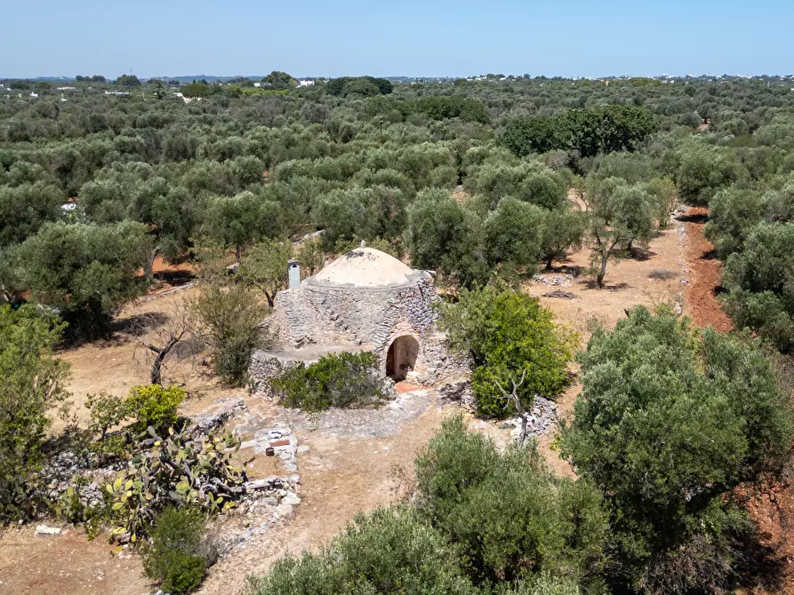 Immagine 4 di Casa indipendente in vendita  in Strada Provinciale 29 a Ostuni