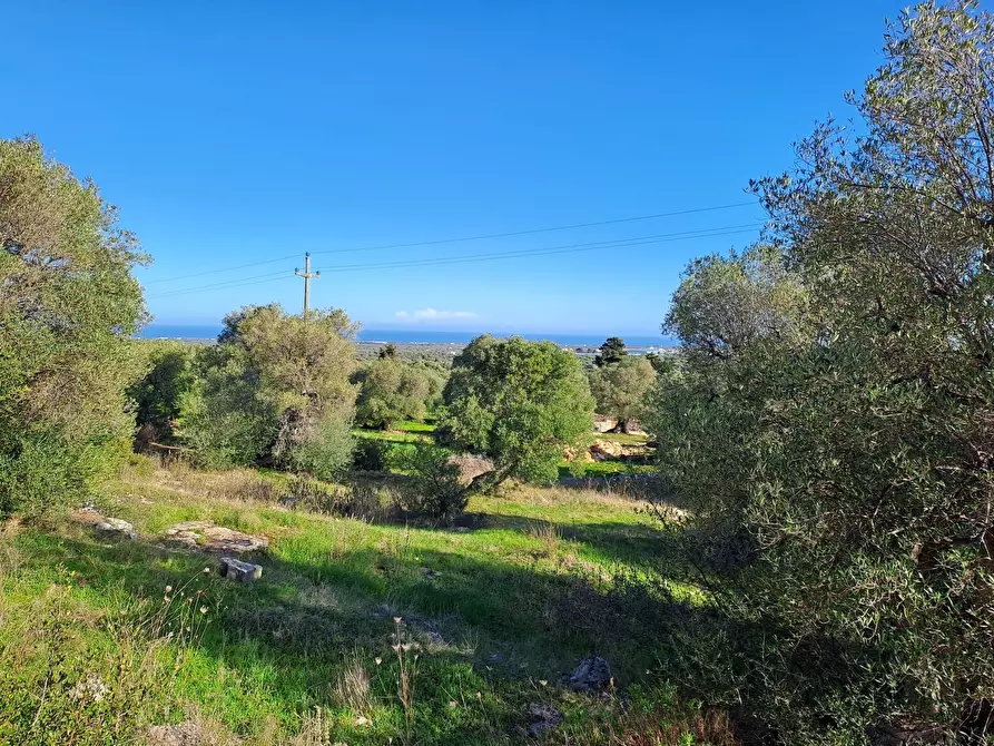 Immagine 31 di Casa indipendente in vendita  in Corso Giuseppe Mazzini a Ostuni