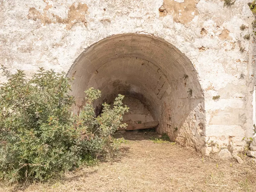 Immagine 9 di Rustico / casale in vendita  a Ostuni