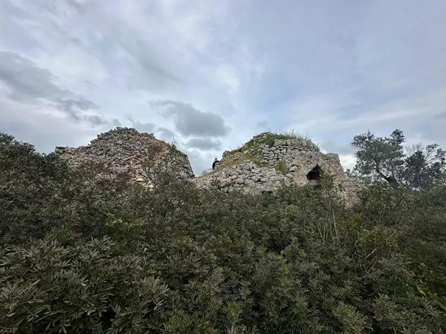Immagine 3 di Casa indipendente in vendita  in Strada Provinciale 29 a Ostuni