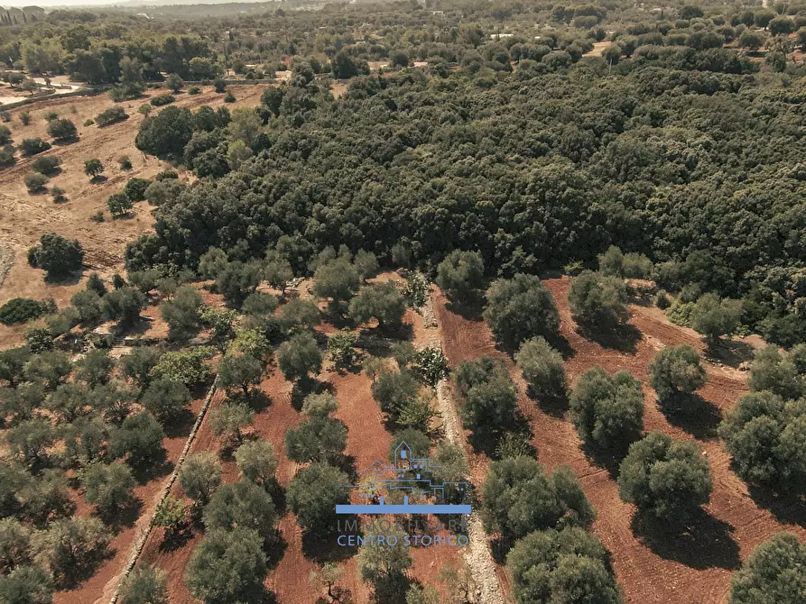 Immagine 48 di Villa in vendita  in CONTRADA VALLEGNA SNC a Ostuni