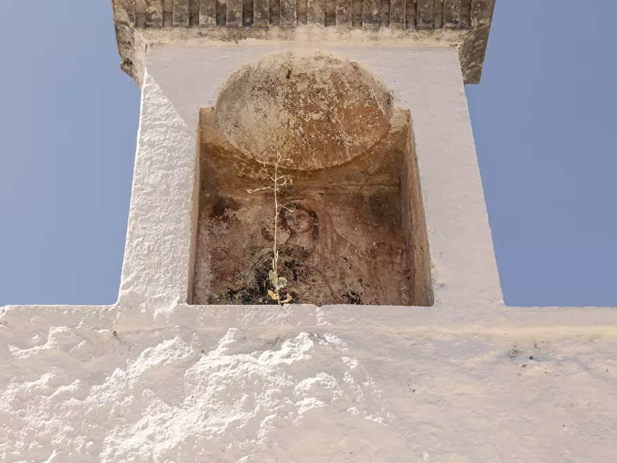 Immagine 4 di Rustico / casale in vendita  a Ostuni