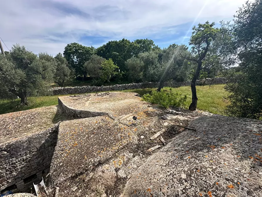 Immagine 25 di Rustico / casale in vendita  in Strada Provinciale 17 a Ostuni