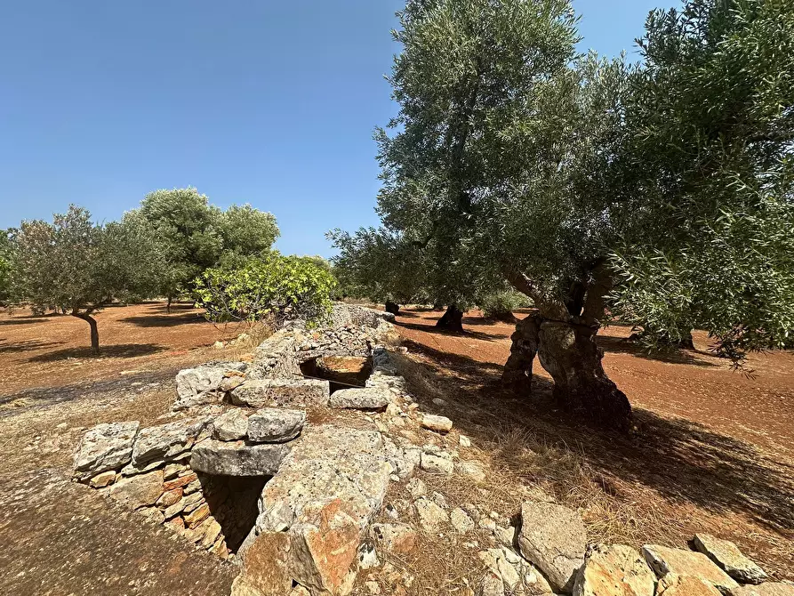 Immagine 23 di Casa indipendente in vendita  in Strada Statale 16 Adriatica a Ostuni