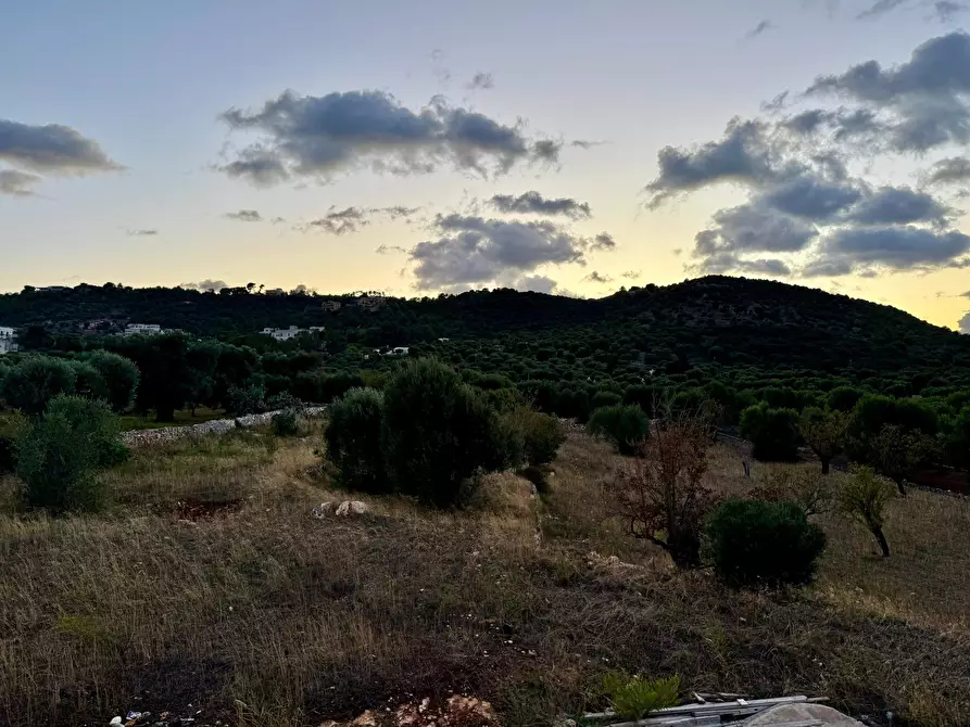 Immagine 11 di Casa indipendente in vendita  in Contrada candelora a Ostuni