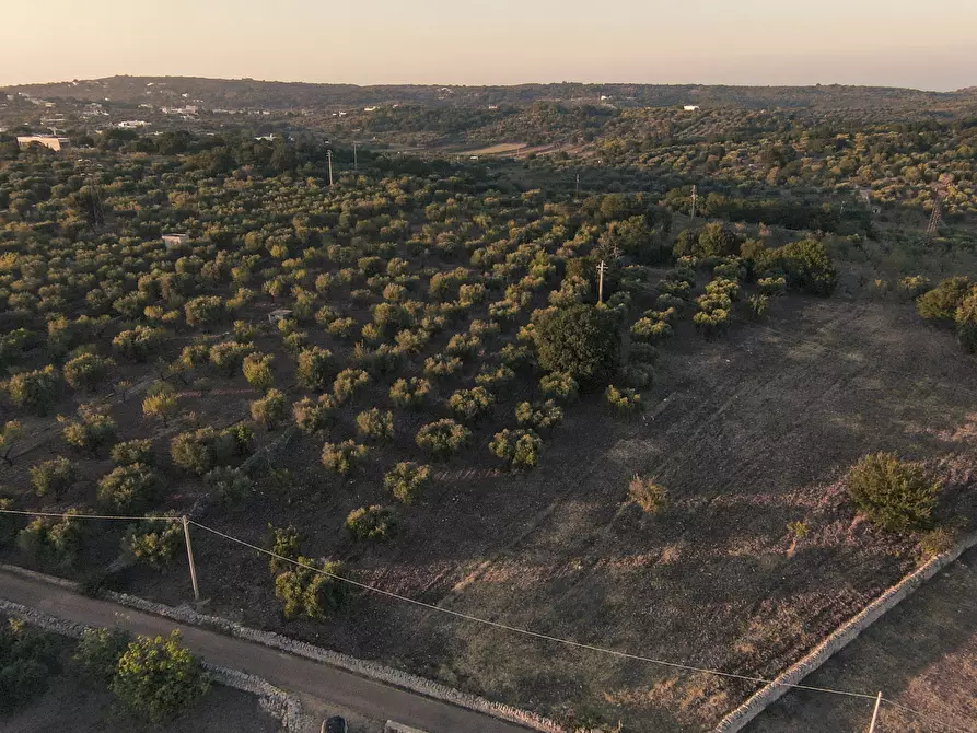 Immagine 5 di Terreno edificabile in vendita  in Contrada Difesa San Salvatore 8 a Ostuni