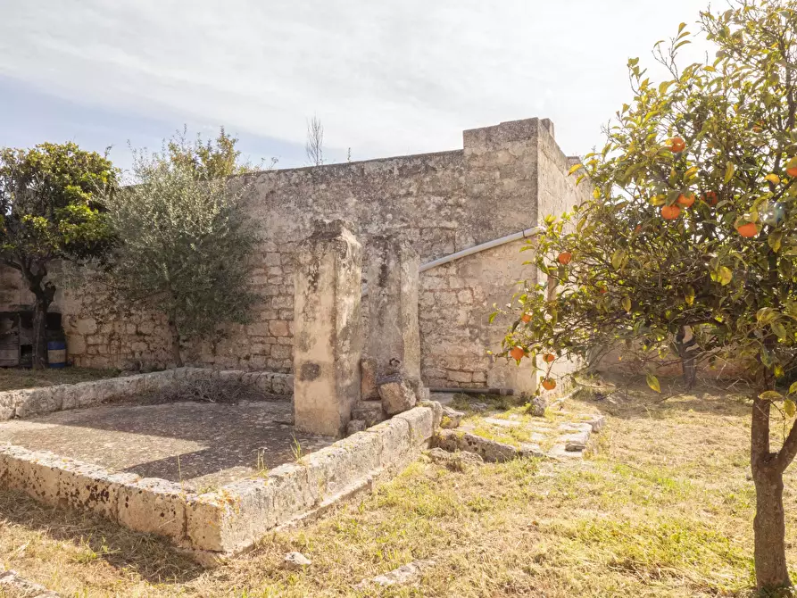 Immagine 8 di Rustico / casale in vendita  a Ostuni