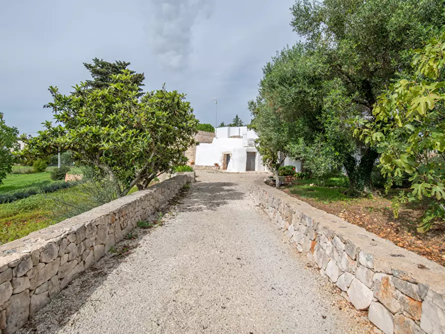 Immagine 7 di Villa in vendita  in contrada molillo a Ostuni