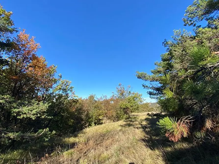 Immagine 12 di Rustico / casale in vendita  in Loc Ormei a Ponzone