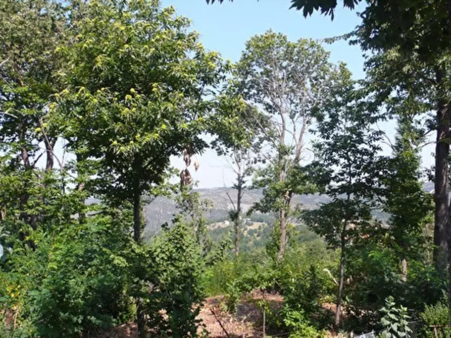 Immagine 16 di Casa bifamiliare in vendita  a Sassello