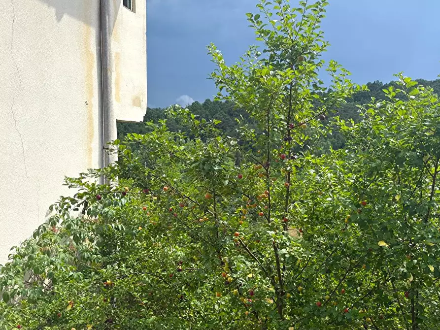 Immagine 53 di Rustico / casale in vendita  in SP216 6 a Pareto