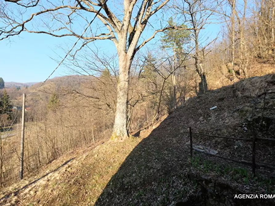 Immagine 18 di Rustico / casale in vendita  a Urbe