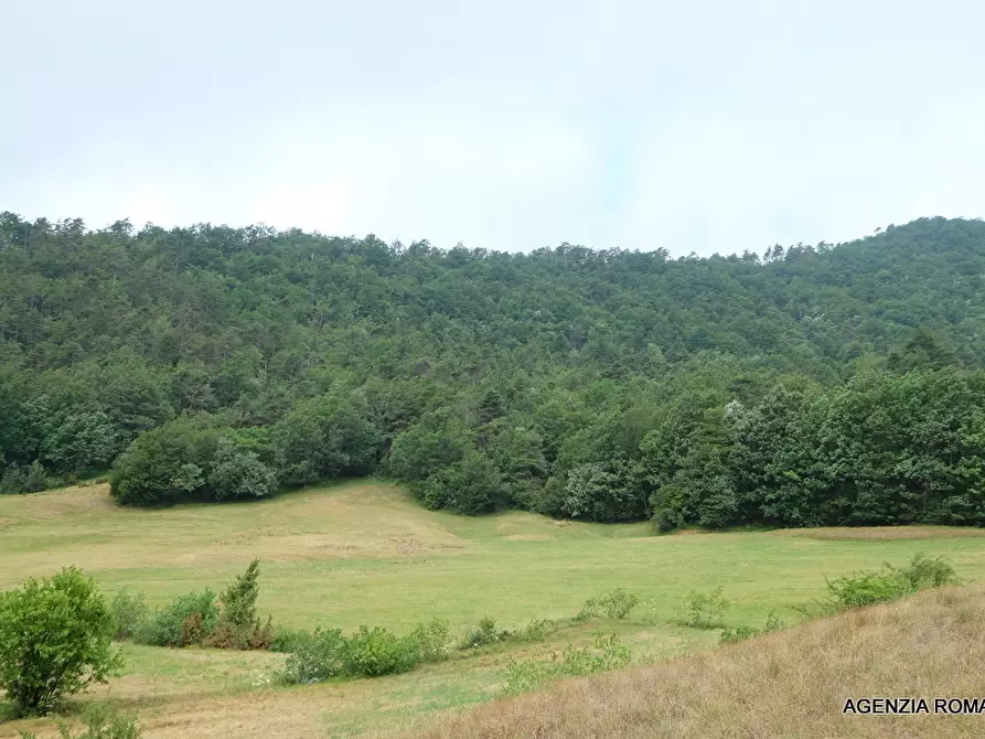 Immagine 29 di Casa bifamiliare in vendita  a Pontinvrea