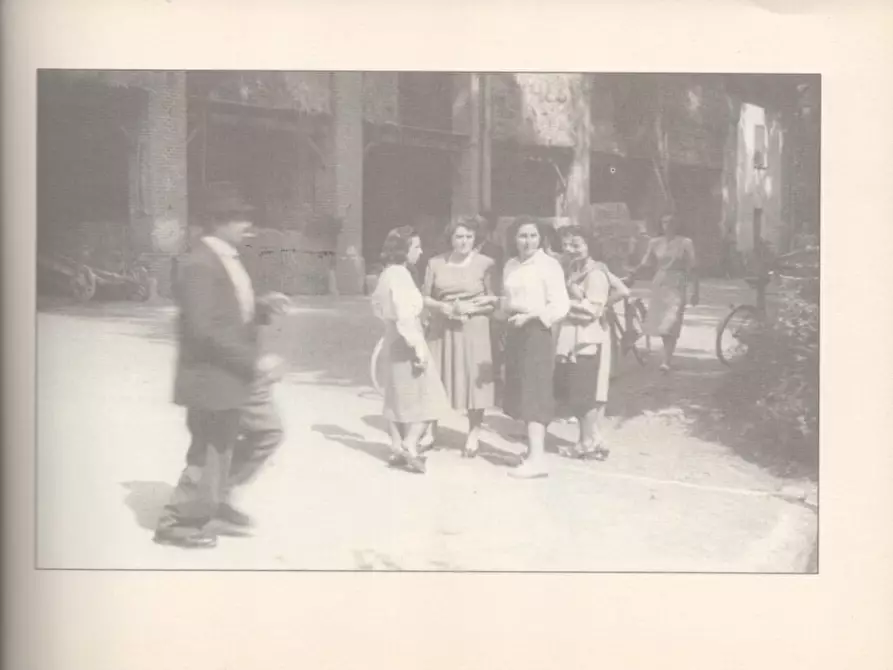 Immagine 54 di Casa indipendente in vendita  a Molare