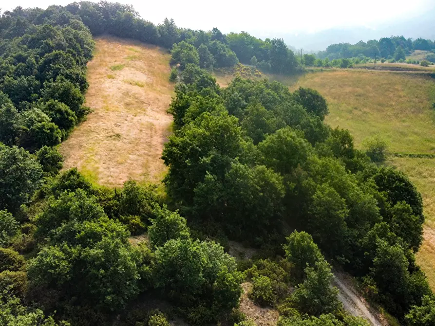 Immagine 7 di Casa indipendente in vendita  in Frazione Cimaferle 213 a Ponzone