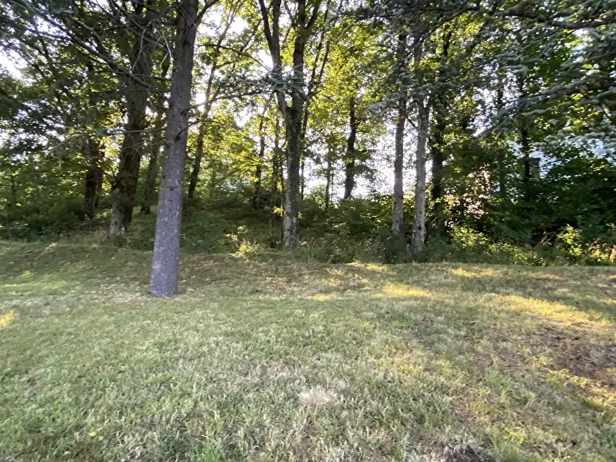 Immagine 27 di Casa bifamiliare in vendita  in via divisione alpine a Tiglieto