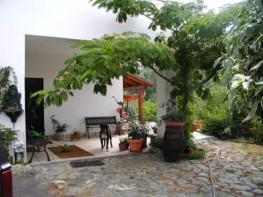 Immagine 16 di Rustico / casale in vendita  in via delle ginestre 3 a Cartosio