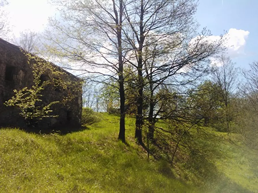 Immagine 10 di Rustico / casale in vendita  a Giusvalla