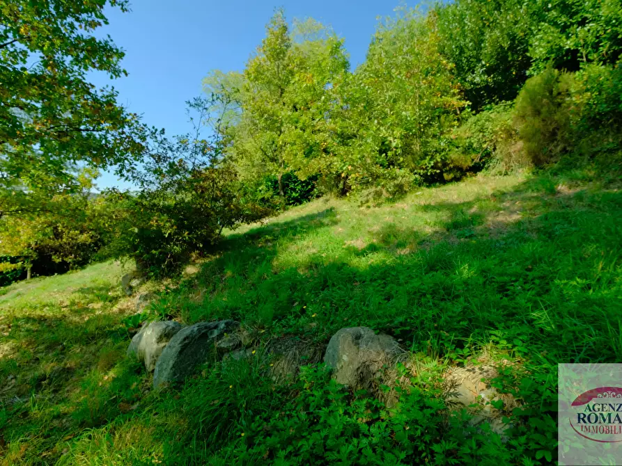 Immagine 19 di Casa indipendente in vendita  in Località la Pineta 27 a Pontinvrea