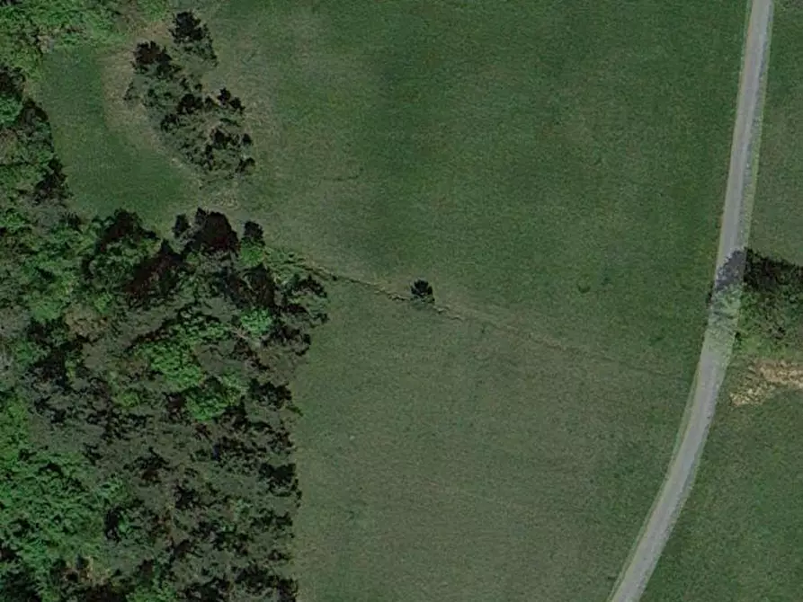 Immagine 8 di Terreno edificabile in vendita  a Sassello