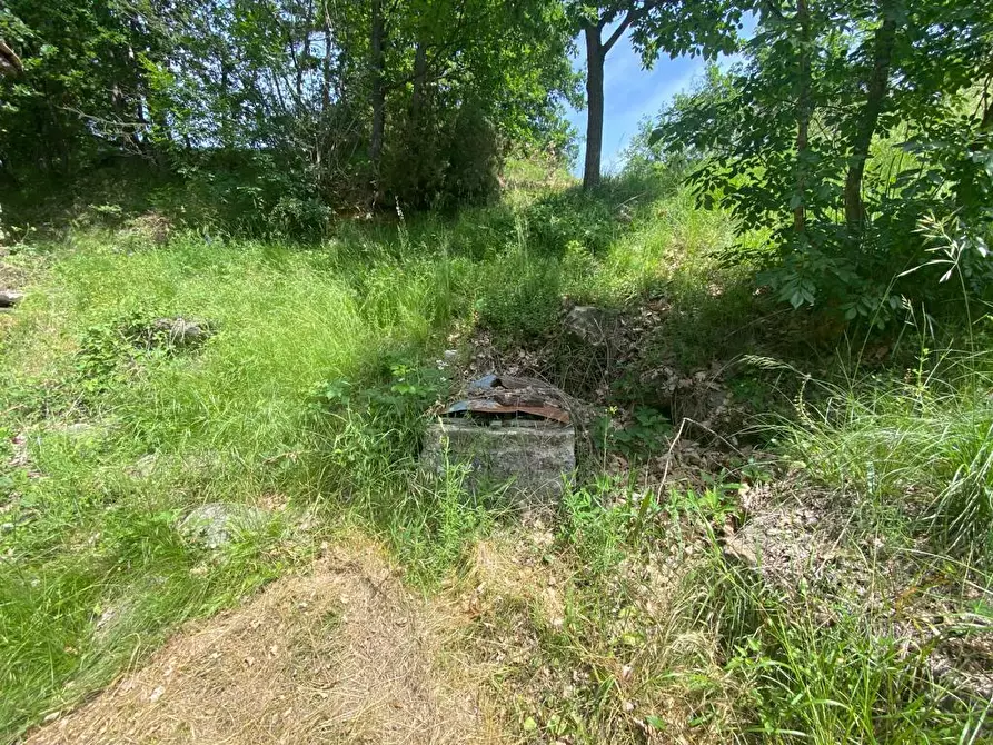 Immagine 22 di Rustico / casale in vendita  a Giusvalla