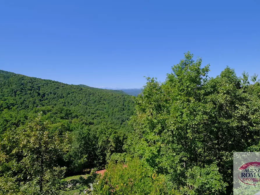 Immagine 9 di Casa indipendente in vendita  in Località Pian d'Anselmo 6 a Sassello