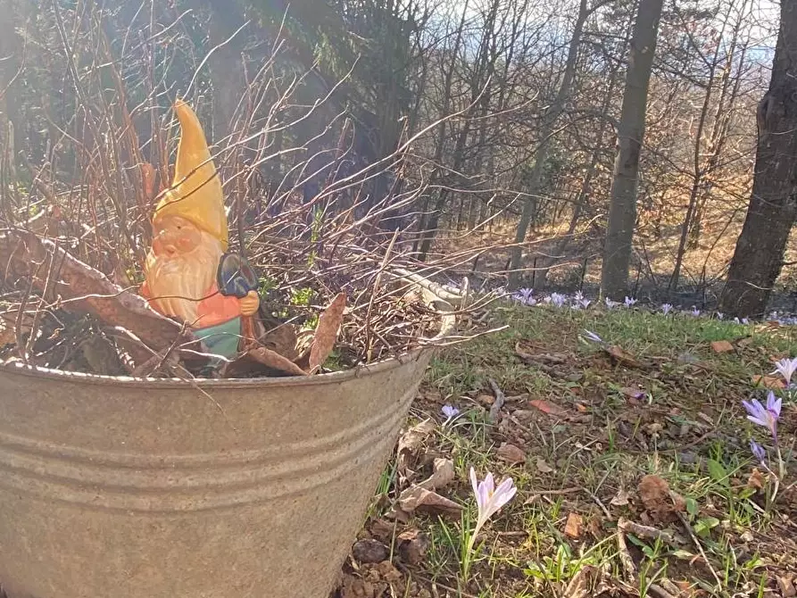 Immagine 31 di Casa indipendente in vendita  a Ponzone