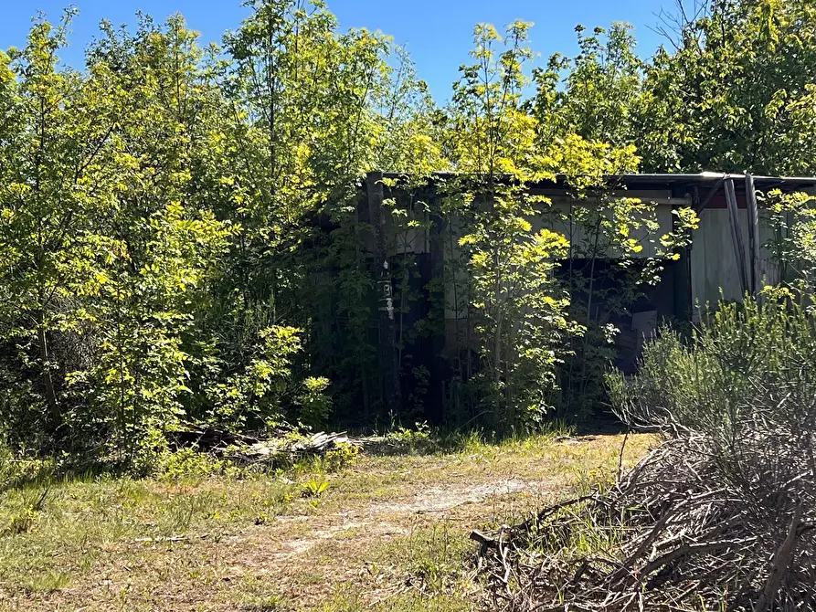 Immagine 8 di Villa in vendita  in Località Colafee 100 a Ponzone