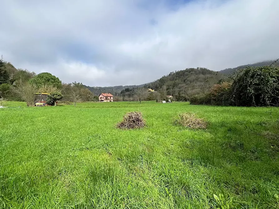 Immagine 20 di Terratetto in vendita  a Stella
