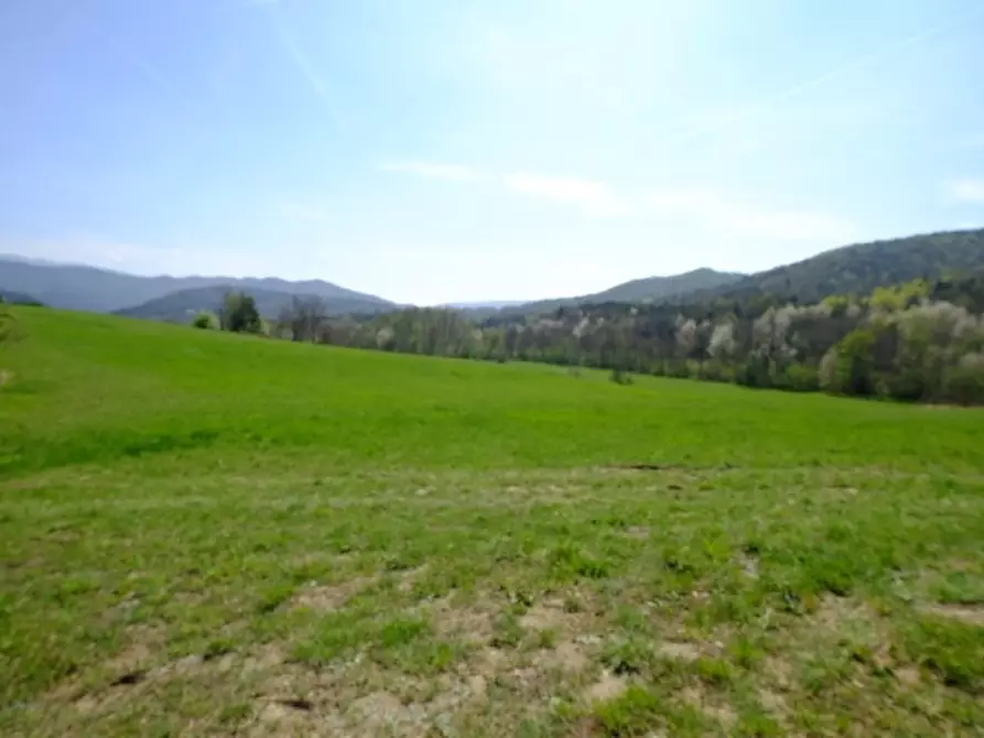 Immagine 4 di Terreno edificabile in vendita  a Mioglia