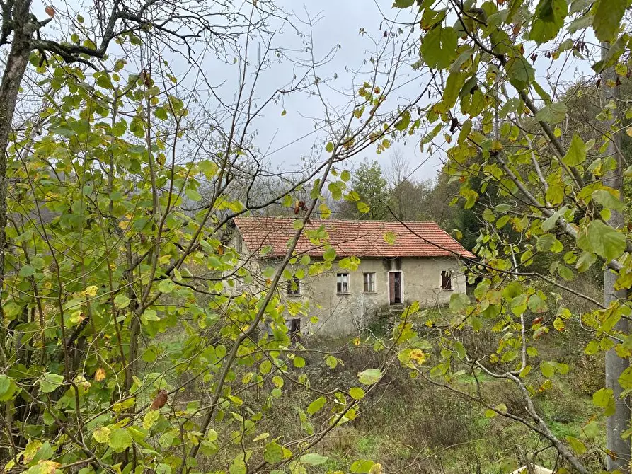 Immagine 2 di Rustico / casale in vendita  a Urbe