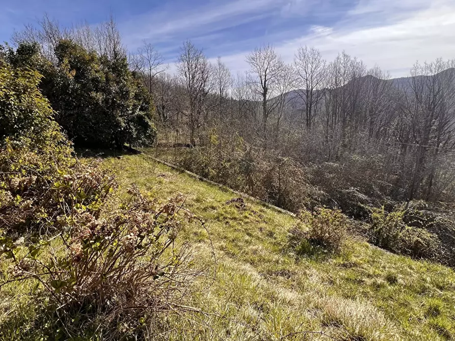 Immagine 3 di Trilocale in vendita  in Via Savona 43 a Urbe