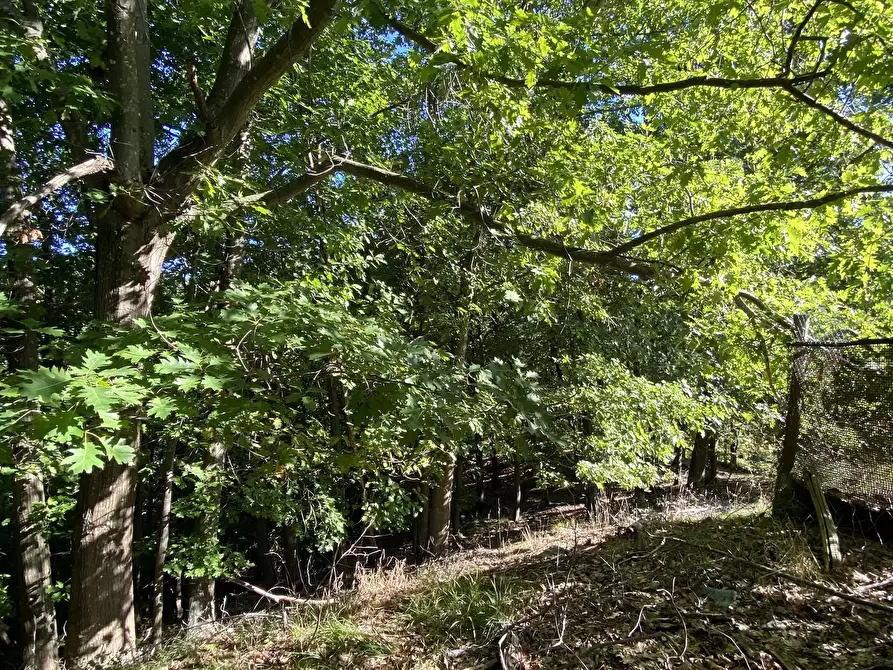 Immagine 11 di Casa indipendente in vendita  in Località Chiapuzzo 8 a Sassello