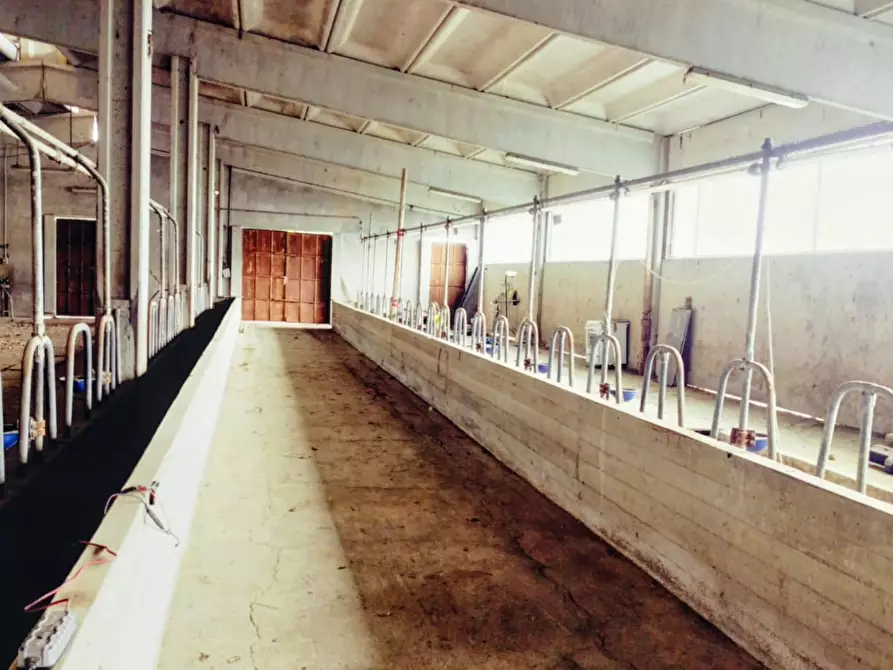 Immagine 48 di Casa indipendente in vendita  a Varazze