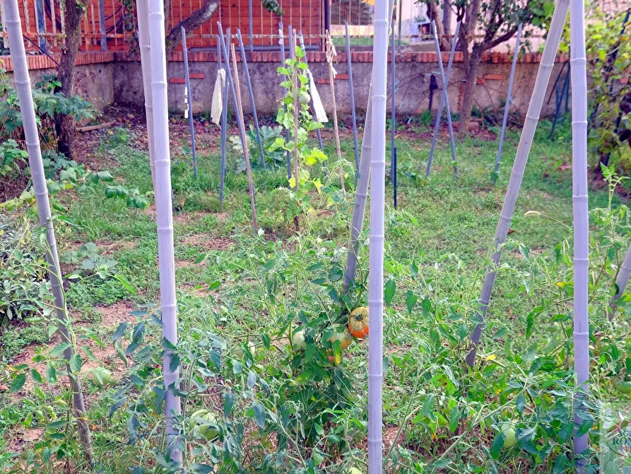 Immagine 34 di Villa in vendita  in SP41 1 a Pontinvrea