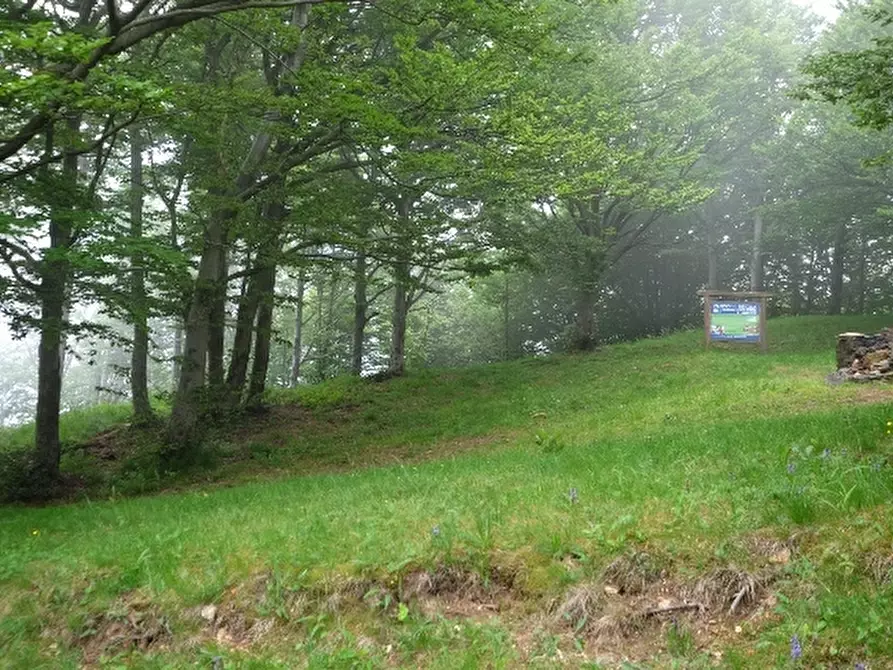 Immagine 14 di Albergo/B&B/Residence in vendita  a Cogoleto