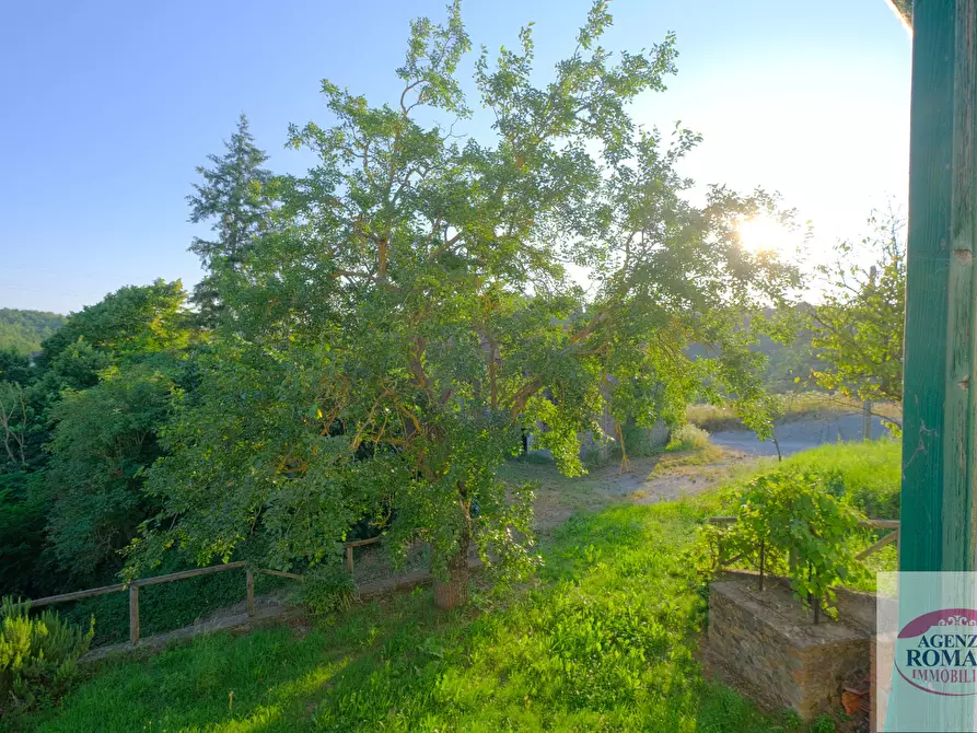 Immagine 33 di Rustico / casale in vendita  a Pareto