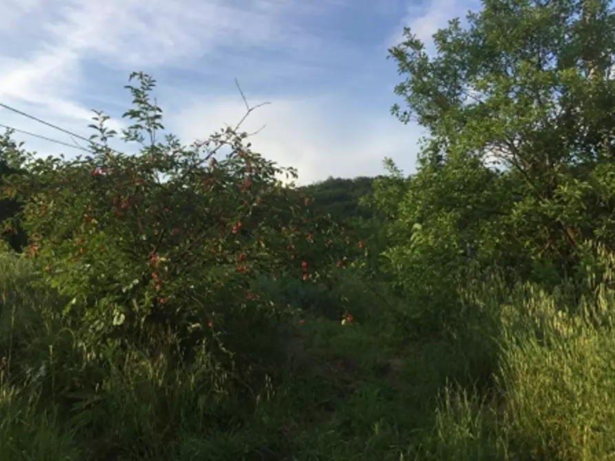 Immagine 43 di Appartamento in vendita  in via piazze 1 a Cremolino