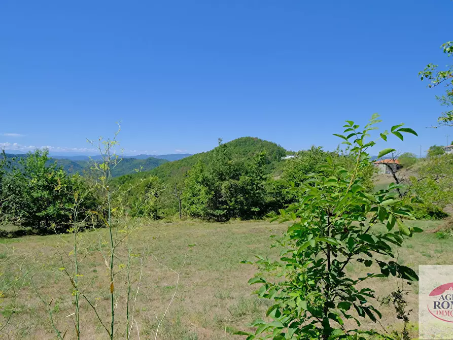 Immagine 21 di Rustico / casale in vendita  in regione Pianlago 110 a Ponzone